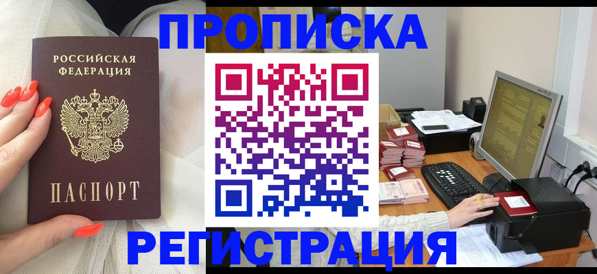 где прописаться в Невеле